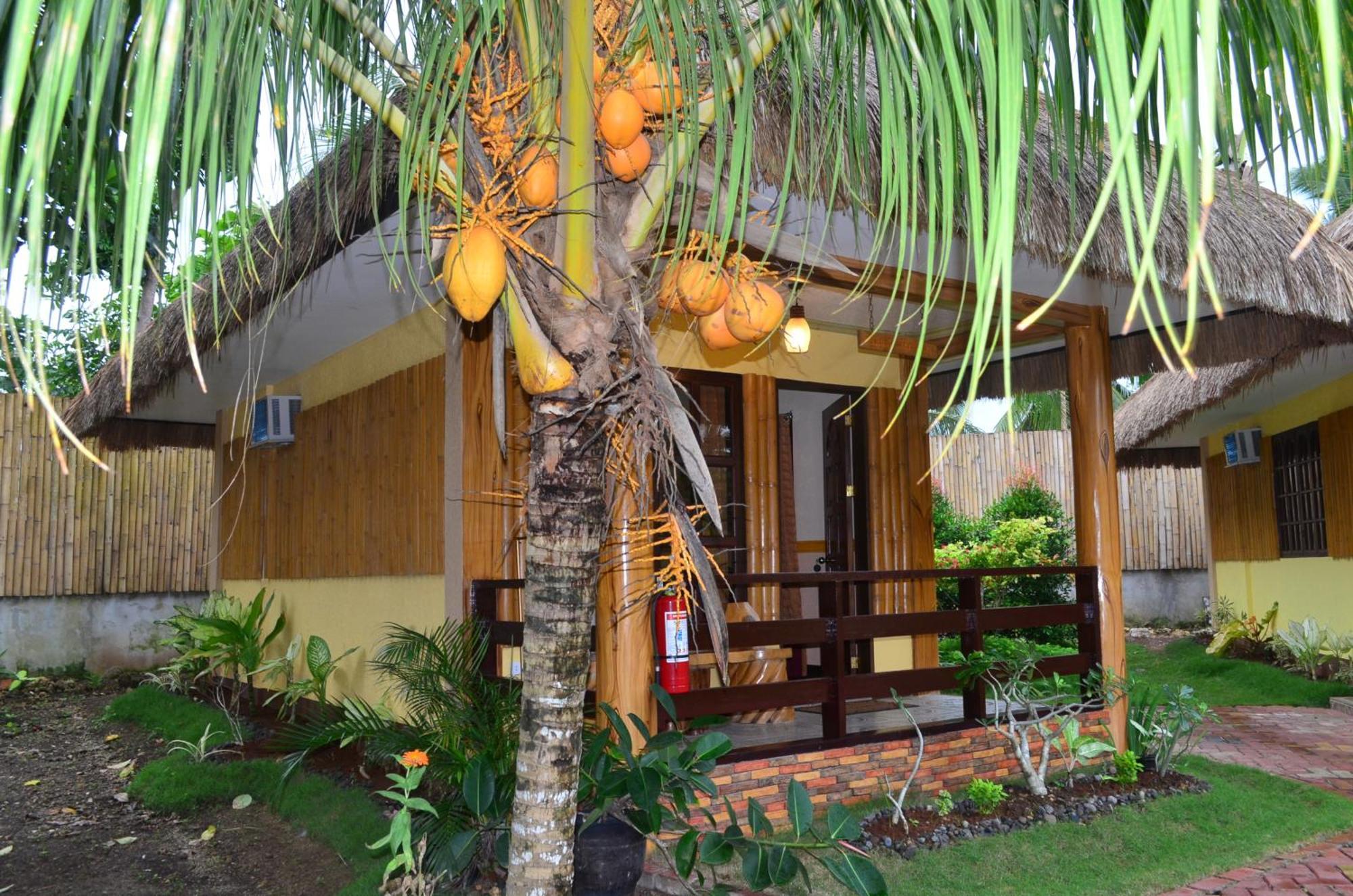 Veraneante Resort Panglao Pokoj fotografie