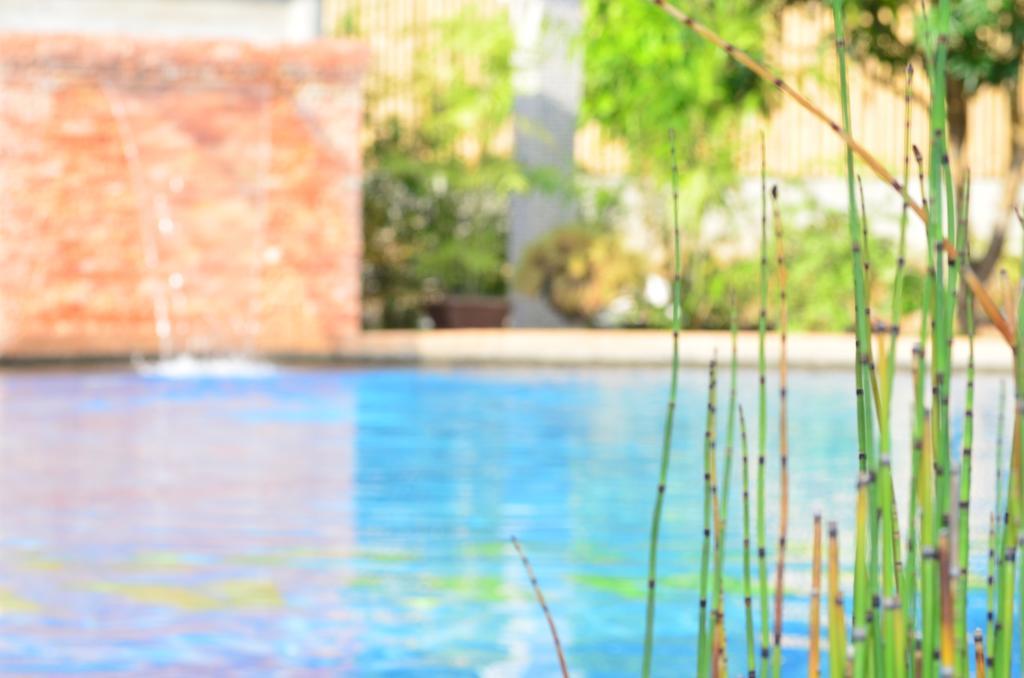 Veraneante Resort Panglao Exteriér fotografie